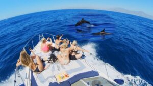 Sunseeker Dolphin trips